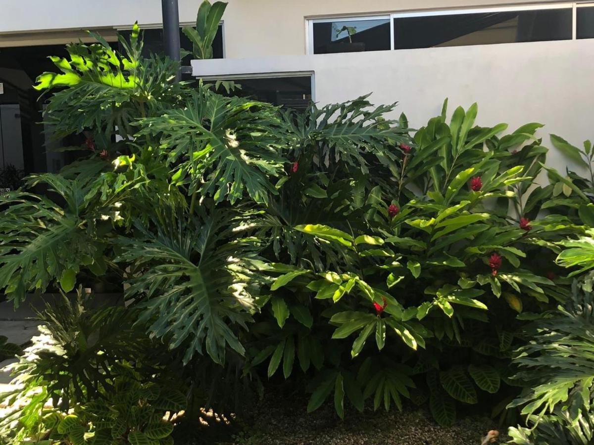 Costa Rica San Jose Full And Comfortable Apartament Pinares Curridabat Extérieur photo