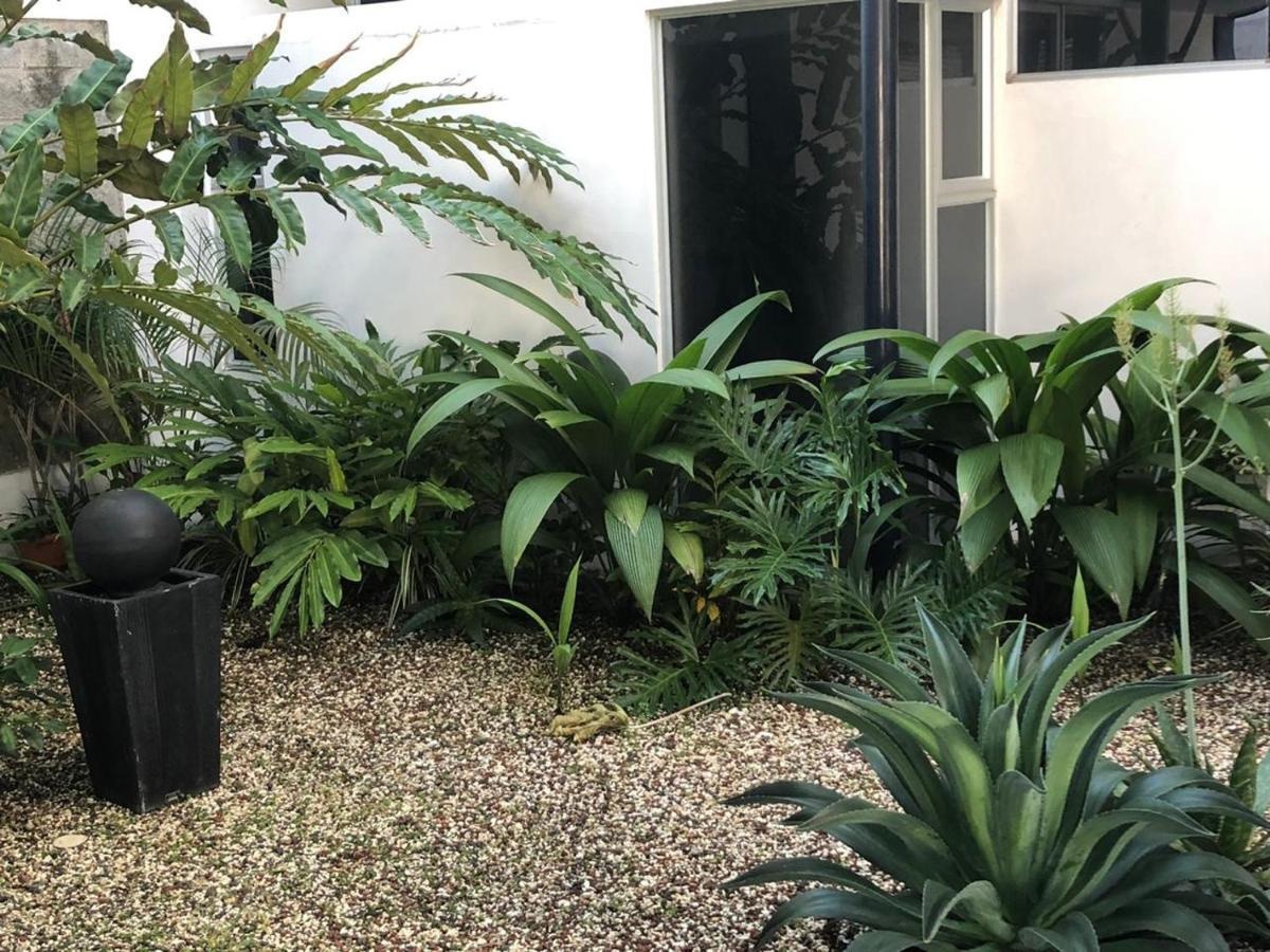 Costa Rica San Jose Full And Comfortable Apartament Pinares Curridabat Extérieur photo